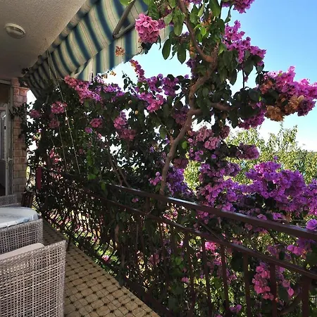 Apartment Ruzarija
